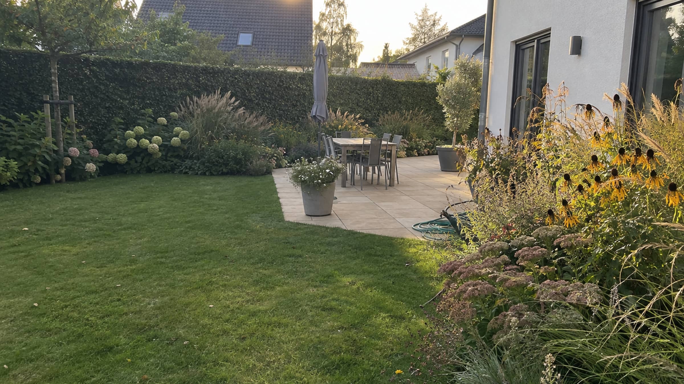 Gepflegter Garten mit Terrasse, Hainbuchenhecke und Staudenbeeten in der Abendsonne